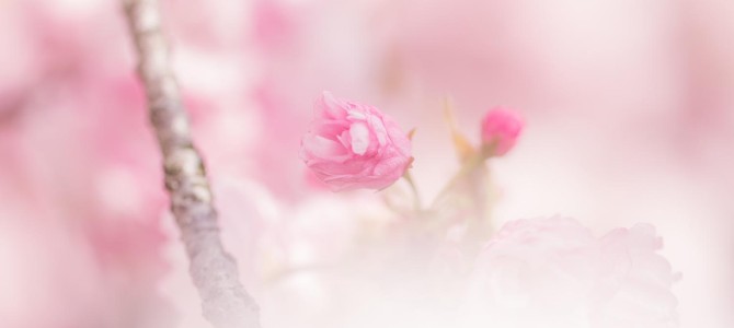 大阪ワークショップへお越しいただきありがとうございました。