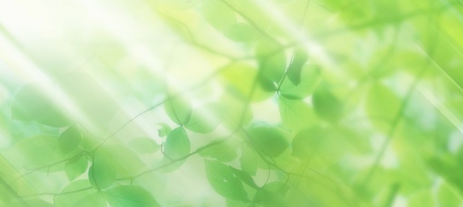 New！渡英中のセッション可能日とお休みのお知らせです。