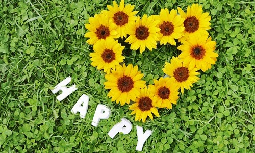 7月からの大阪ワークショップのご案内