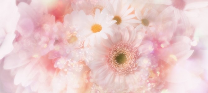 【残席５名さまとなりました。】２月お茶会『セレンディピティな私になる！』～create my story～season1