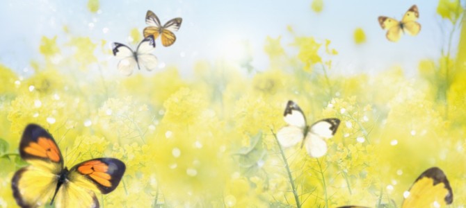 ３月講習日程のご案内です。