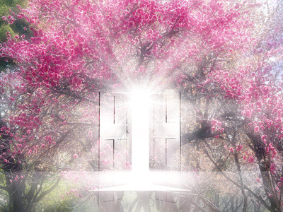 お休みのお知らせ