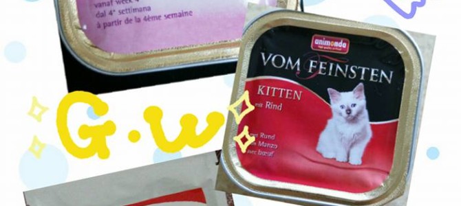 保護ネコ日記♪