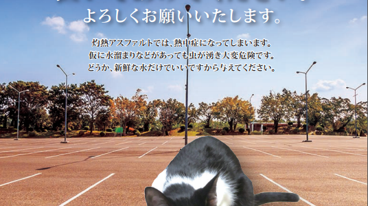 少しの優しさを分けてあげてもらえませんか？