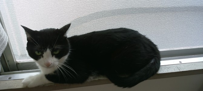 やりたいことが浮かんだらまずやってみる！！