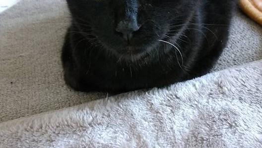 只今お家のDIYなうです(*^^)v