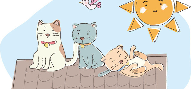 春の時別企画★アニマルコミュニケーション～しっぽたちとの日向ぼっこ～(*^▽^*)