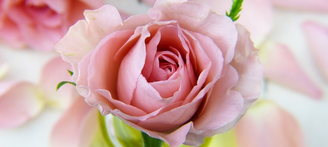 スピリチュアルカウンセリングって？(*^-^*)