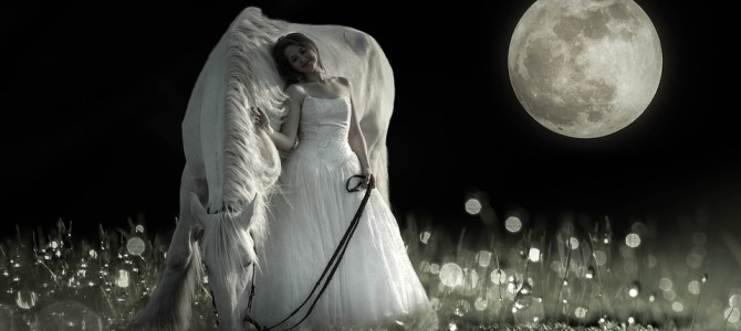 １９日（金）満月の日☆人と動物に捧ぐ★無料・有料シャーマニック一斉ヒーリングのご案内