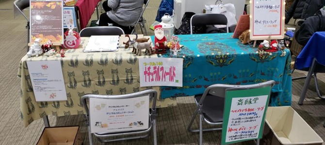今年最後の癒しスタジアム出展終了しました(*^-^*)