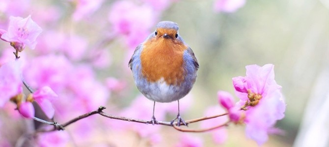 水曜日のつぶやき(*^-^*)今日は本当につぶやきだけ(笑)