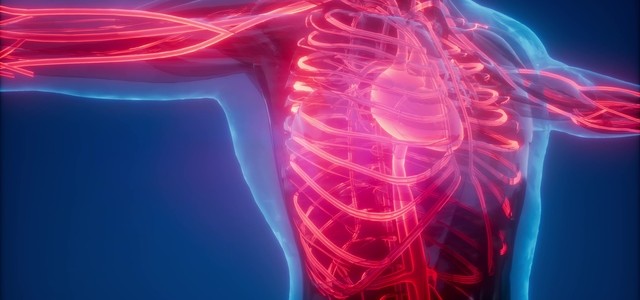 身体のケアに！血液浄化ワーク☆ purify-blood☆体の中から軽やかに～一斉伝授のご案内