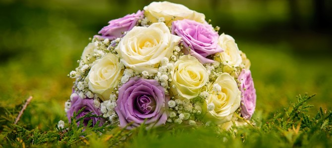 【中止とさせていただきますm(__)m】５月１７日（日）大阪ワークショップのご案内です