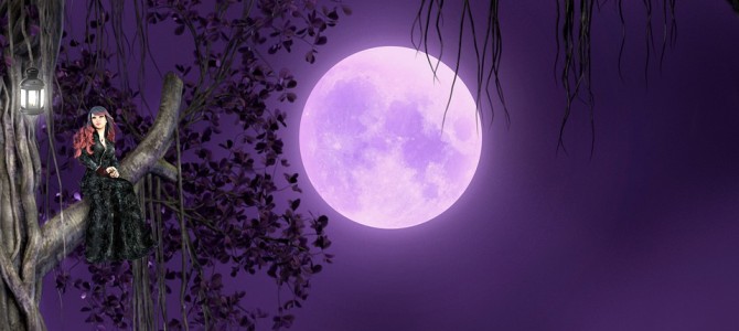 ６月６日はストベリームーン&最小の満月の日☆人と動物に捧ぐ★無料シャーマニック一斉ヒーリング