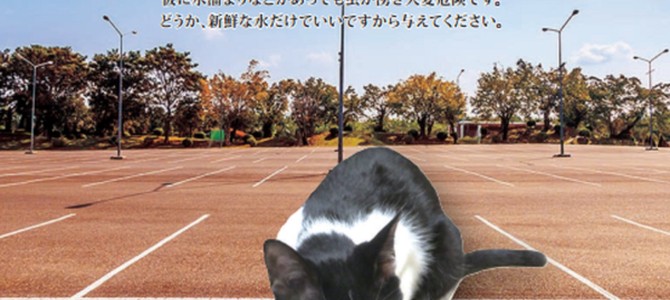 9月２４日（木）オンラインワークショップ♡アニマルコミュニケーション&インナーチャイルドの癒し