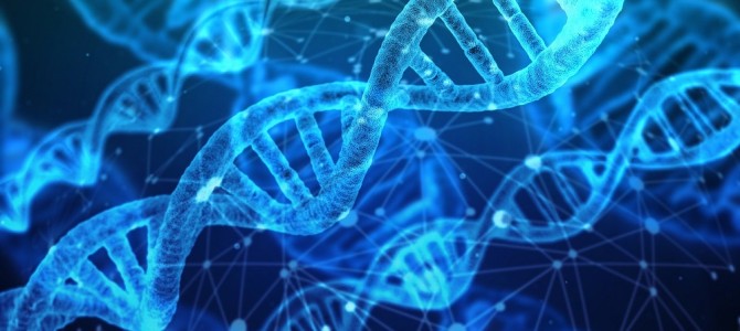霊的にDNA・血液から辿る☆家系のカルマ解除一斉ワークのご案内