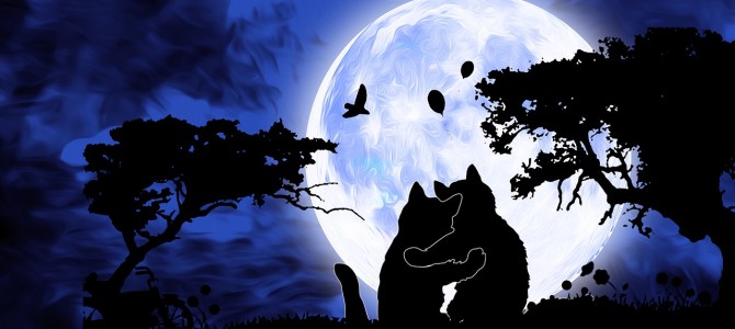 満月の一斉ヒーリング終了しましたm(__)m