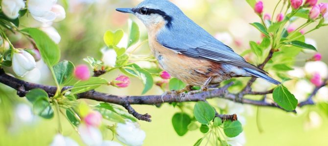 つぶやき(*^-^*)今日は春分・宇宙元旦！