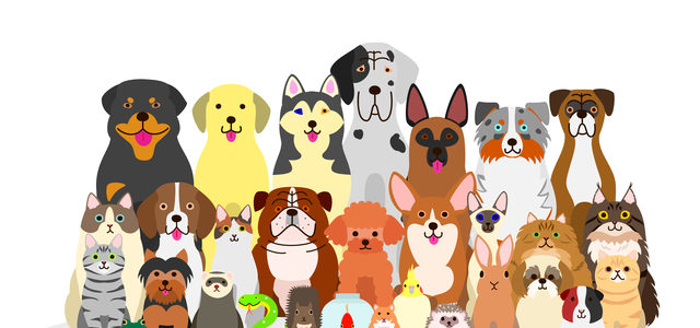 【コラボ企画】アニマルコミュニケーション&うちの子イラスト～世界でたった１枚のレター