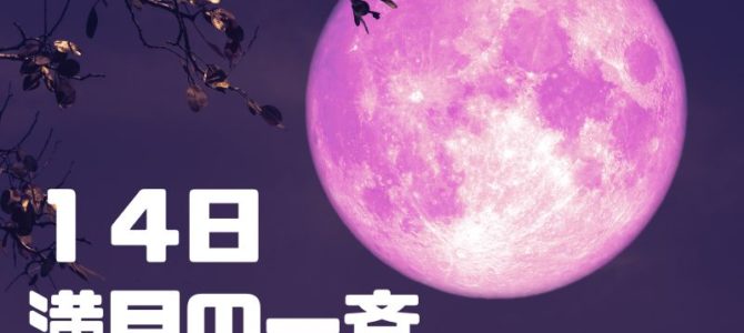 １４日最小の満月ストロベリームーン☆人と動物に捧ぐ★無料・有料シャーマニック一斉ヒーリング