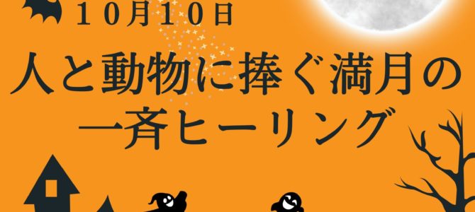 満月の日☆人と動物に捧ぐ★無料・有料シャーマニック一斉ヒーリング