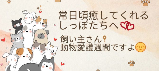 【残２名さま】常日頃癒してくれるしっぽたちへ～飼い主さん動物愛護週間ですよ～(*^-^*)