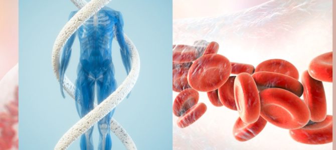 霊的にDNA・血液から辿る☆家系のカルマ解除一斉ワーク