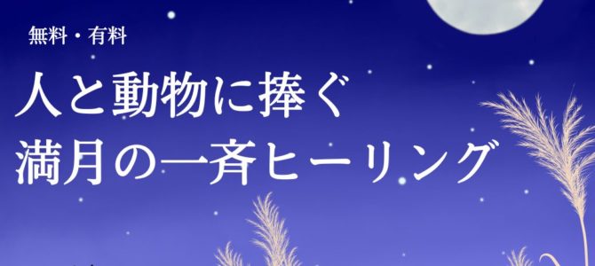 １０日 中秋の名月の満月☆人と動物に捧ぐ★無料・有料シャーマニック一斉ヒーリング