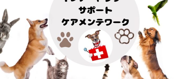 【アニマル&ヒューマン】インナードクター・サポート・ケアメンテワーク