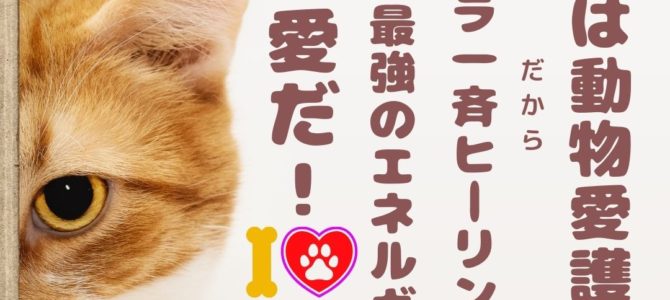 明日20日から動物愛護週間だ！☆ゲリラ無料一斉ヒーリング～宇宙で最強のエネルギーは愛だ！！～