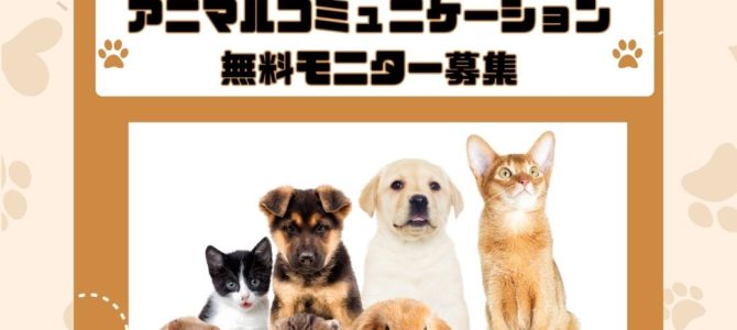 アニマルコミュニケーション無料モニター募集♪