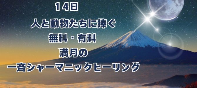１４日★ウルフムーン★人と動物たちに捧ぐ★無料・有料 満月の一斉シャーマニックヒーリング