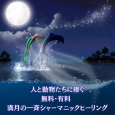９日スタージョンムーン★人と動物たちに捧ぐ★無料・有料 満月の一斉シャーマニックヒーリング