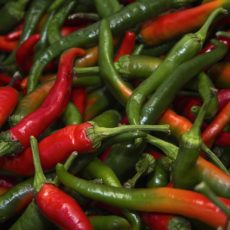 辛いものが食べられなくなった~(T_T) 辛いものが食べられなくなった~(T_T)