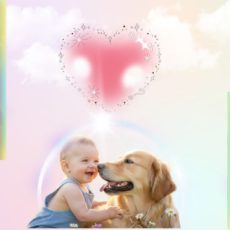 飼い主が変わるとペットも変わる~ペットを通じて学ぶ「思いやり」「生き方」~ 飼い主が変わるとペットも変わる~ペットを通じて学ぶ「思いやり」「生き方」~