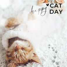 【無料】ネコの日 2.22 一斉ヒーリング 〜ゴロゴロ波動で整う 人と動物のやさしい共鳴ヒーリング〜